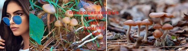 спайс Белокуриха