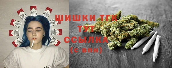 тгк Балахна